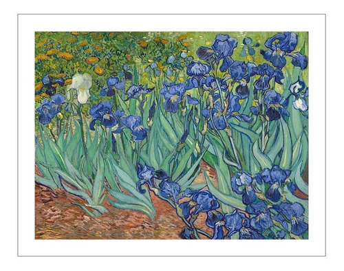 Lamina Fine Art Lirios (irises) Van Gogh 60x50 Myc Arte