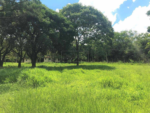 Imagem 4 de 14 de Chácara À Venda Em Chácaras Bocaiúva Nova - Ch058919