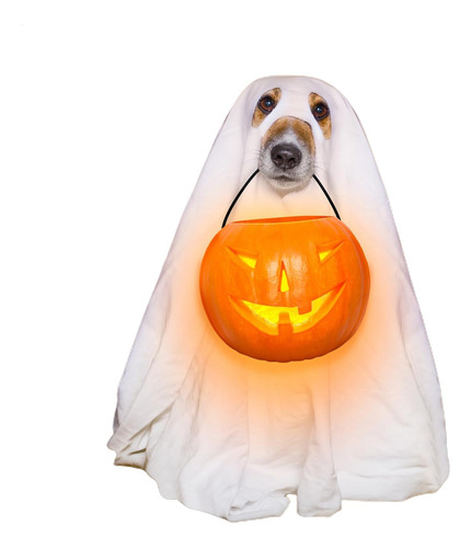 Disfraz De Perro Fantasma Disfraz De Perro De Terror Capa Gó