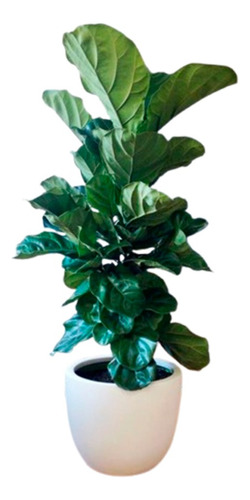 Decoracion Flores Artificiales Para Casa Planta