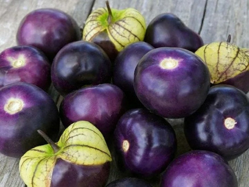 Semillas Orgánicas De Tomatillo Purpura