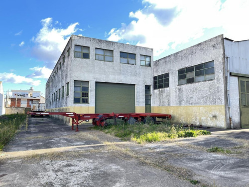 Imagen 17 de 25 de Galpón 1600m² Cub. 1200m² Desc. Muy Buen Estado - Ramos Mejía