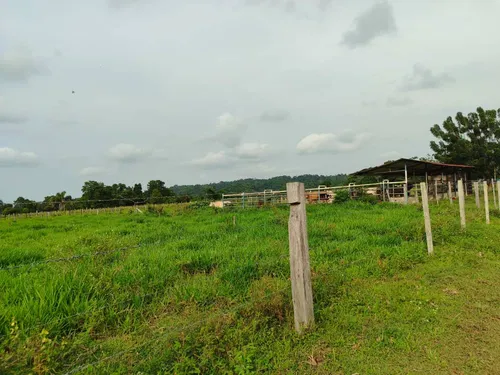 Em Finca En Venta En La Fría