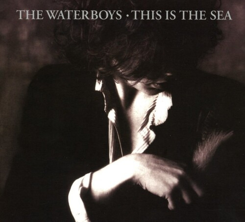 Waterboys This Is The Sea: Cd De Edición De Coleccionista