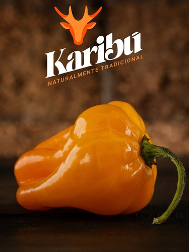 Salsa De Chile Habanero Tatemada Karibu Pack 6 Pzas