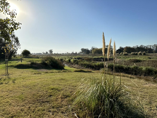 Terreno En La Reserva, Barrio De Chacras