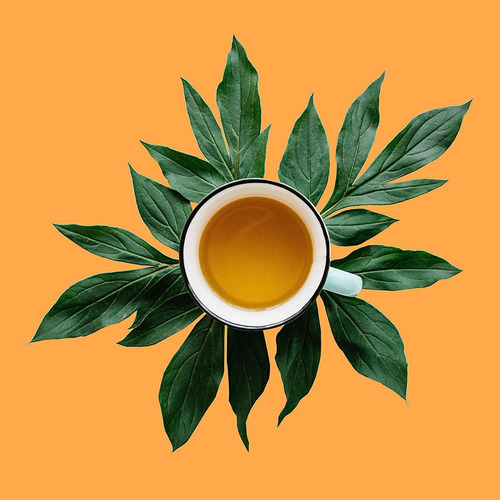 El Primer Sorbo De Té Orgánico De Rooibos Chai Té De Las Hoj