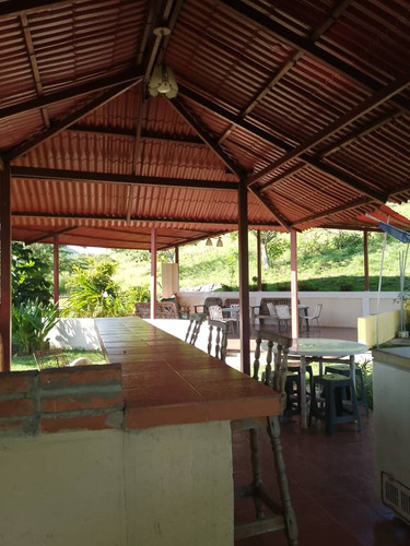 Angelica Acosta Vende Espectacular Finca Agroturística En Villa Virginia En La Carretera Villa De Cura-san Juan De Los Morros