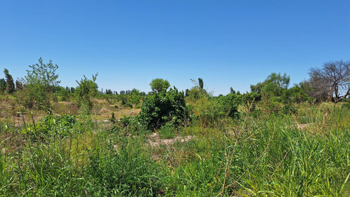 Finca-terreno En Venta En Guaymallén Pozo Surgente De Agua Apta Para Consumo