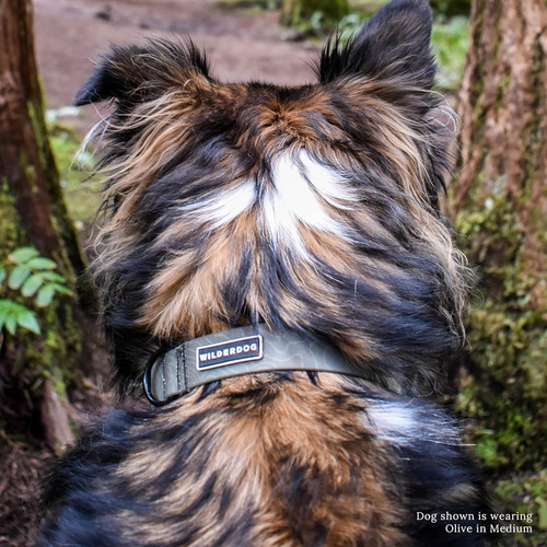 Wilderdog Collar Impermeable Para Perros - Repele El Agua Y