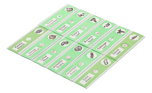 Conjunto De Diapositivas De Muestra Slide 48 Piezas - Animal