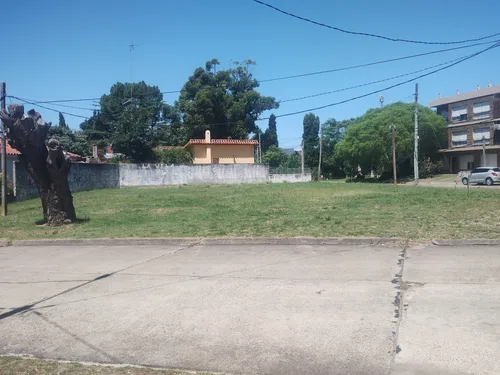 Floresta Excelente Terreno En El Centro De Floresta