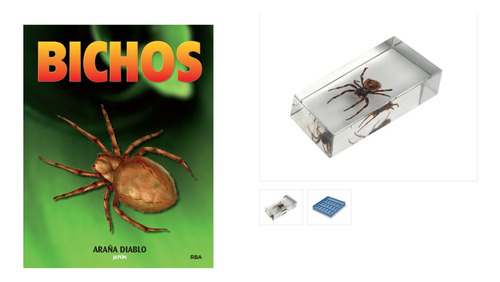 Revista Bichos # 3 Araña Diablo Japón, Fascículo Y Caja