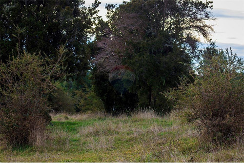 Imagen 28 de 30 de Parcela De Agrado En Chiloé