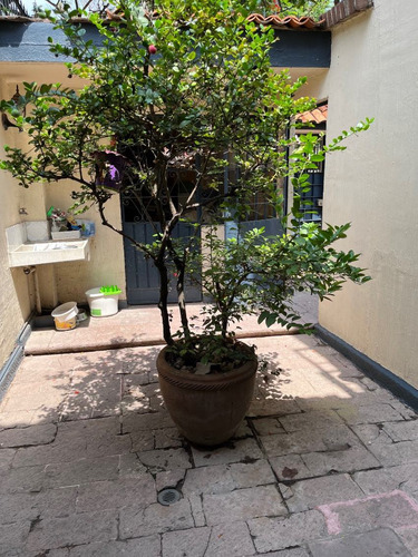 Casa En Privada En Viyautepec, Yautepec, Morelos - Task-27-cp