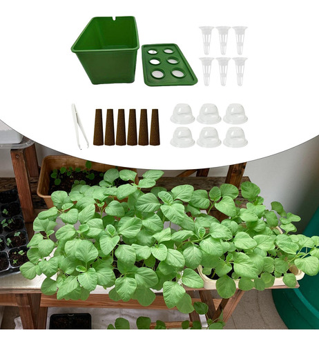 De Cultivo Hidropónico, De Jardinería De Alto Verde
