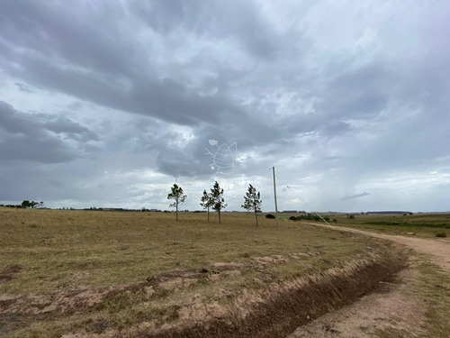 Imagen 4 de 8 de Venta De Chacra En Rincón De José Ignacio, 5 Hectareas - Jose Ignacio José Ignacio