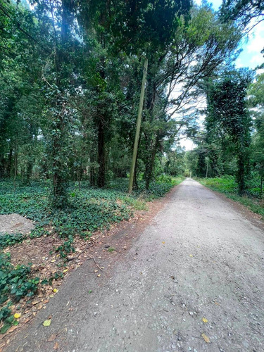 Imagen 4 de 11 de Vendo Lote 750 Mts Bosque P. Ramos Parquizado U$s 55.000.-
