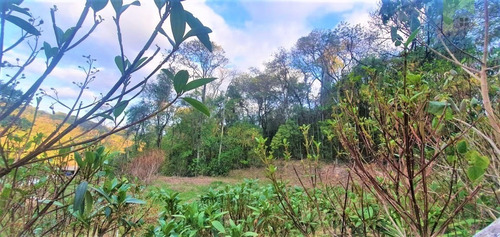 Imagem 1 de 11 de Venda Ou Permuta De Terreno Com 2557m². Vila Maringá. Jundiaí-sp Fácil Acesso Para As Rodovias Anhanguera E Bandeirantes - Te00002 - 68778193