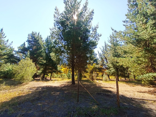 Venta Sitio Proyecto El Arrayan Camino Unihue Talcamavida