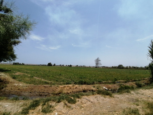 Terreno 3.60 Hectáreas En Agua Santa San Clemente De Pisco