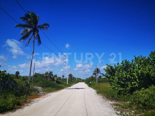 Oportunidad!!se Vende Terreno Frente Al Mar Mahahual-rio Indio P1200