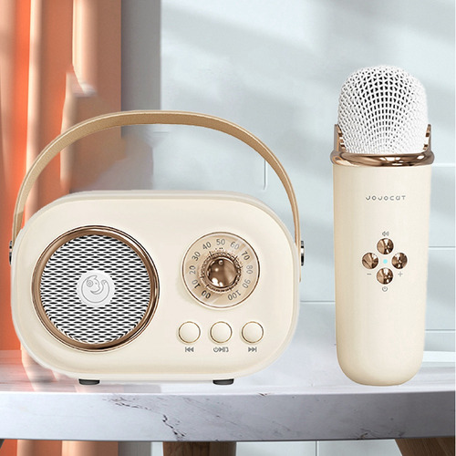 Amplificador Portátil De Áudio Sem Fio Home Ktv