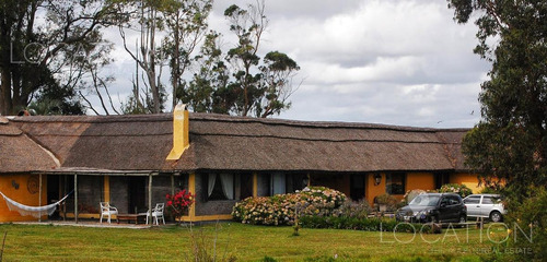 Campo - José Ignacio