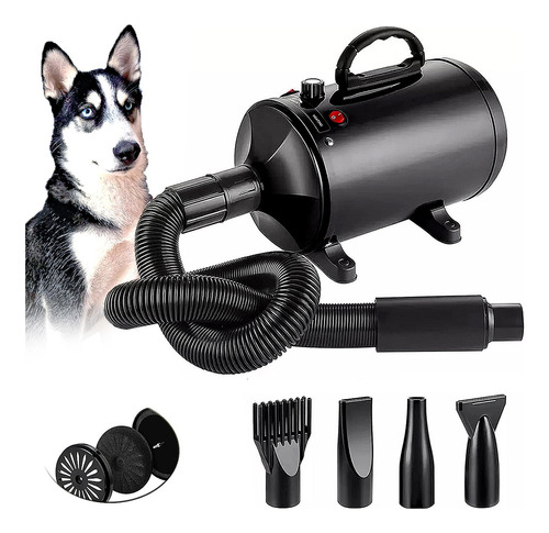 Secadora Profesional Mascotas 2800w Estetica Canina Perros Color Negro