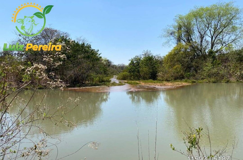 Imagem 3 de 4 de Fazenda À Venda Em Figueirão - Ms - De 1.760 Hectares (pecuária) - 1797