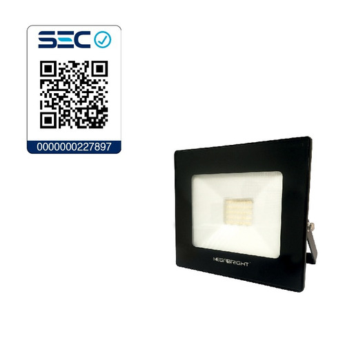 Imagen 5 de 5 de Proyector Led 30w 6000k Megabright Para Exterior