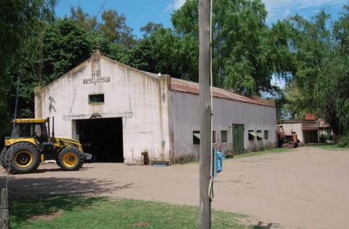 Imagen 6 de 6 de Campo - General Viamonte