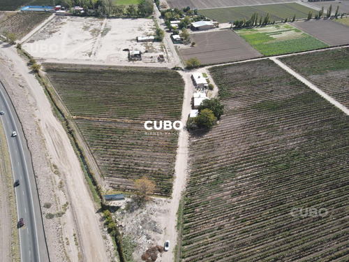Cubo Vende 12 Hectareas De Viñedo En Rodeo De La Cruz Mendoza Argentina