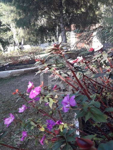 Imagem 7 de 30 de Chacara - 23 - 69927312