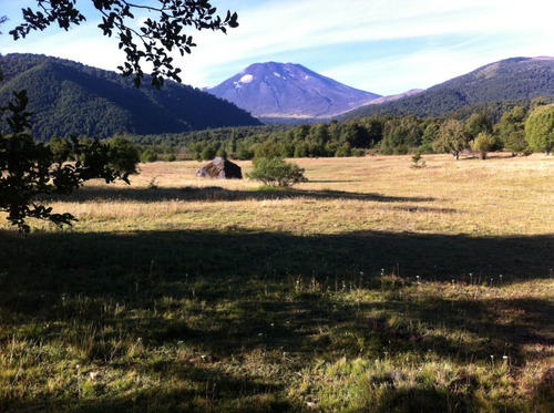 Terreno De Excelente Plusvalía - A 2,3 Km De Malalcahuello