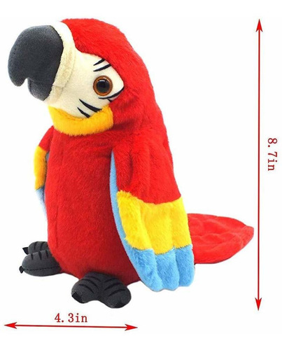Qdd Hablar Loro Repite Lo Que Usted Dice Mimetismo Mascotas