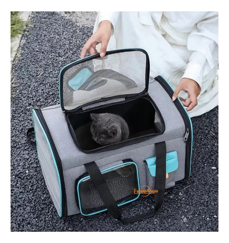 Bolso Transportador Para Mascota Viaje Mochila Transpirable Eshopangie