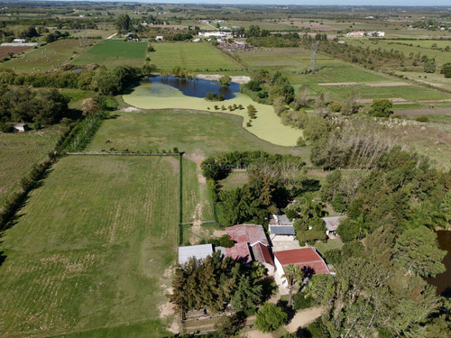 Chacra Haras Venta 11 Has Pando, Canelones