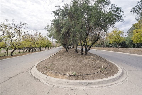 Imagen 16 de 17 de Sitio En Venta Hacienda Chacabuco, Colina