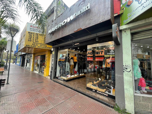 Imagen 9 de 26 de Venta 6 Locales + Planta Alta / Lote 840m2 Constitución