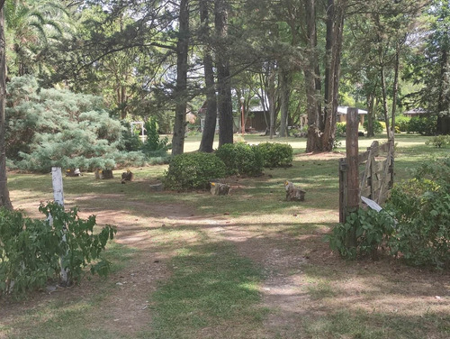 Imagen 4 de 30 de Hermosa Quinta Con Mucha Arboleda Añeja