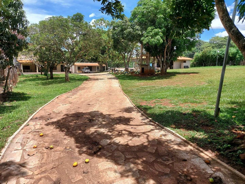 Imagem 11 de 14 de Chácara A Venda Ou Para Eventos