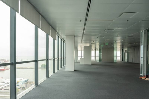 Imagen 21 de 30 de Oficinas Alquiler Catalinas
