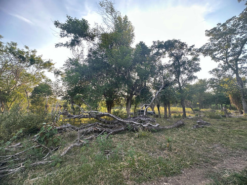Terreno Con 369.33 Metros Cuadrados