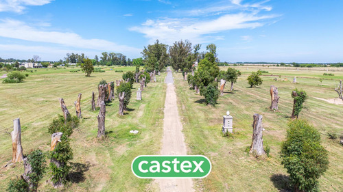 Lote En Venta En San Eliseo, Canning