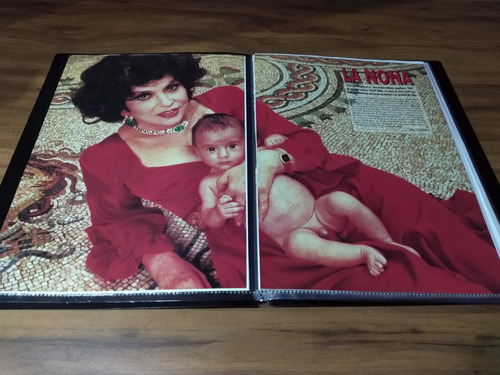 Gina Lollobrigida * Carpeta Recortes Revistas Clippings (Usado)
