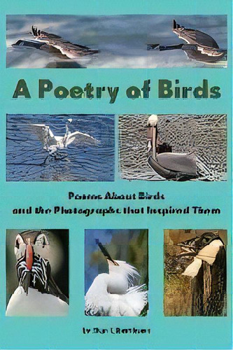 A Poetry Of Birds : Poems About Birds And The Photographs That Inspired Them, De Dan Liberthson. Editorial Gatekeeper Press, Tapa Dura En Inglés