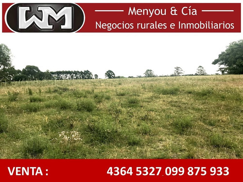 Venta Chacra Flores 1 Hectárea A 3 Km De Trinidad Flores