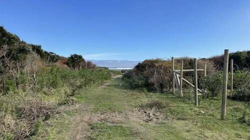 Rebajada! Parcela 1 Ha Con Luz, Agua, Cabaña Y Baños