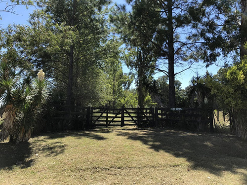 Imagen 5 de 12 de Campo En Venta En La Plata Ruta 215 Dacal Bienes Raices
